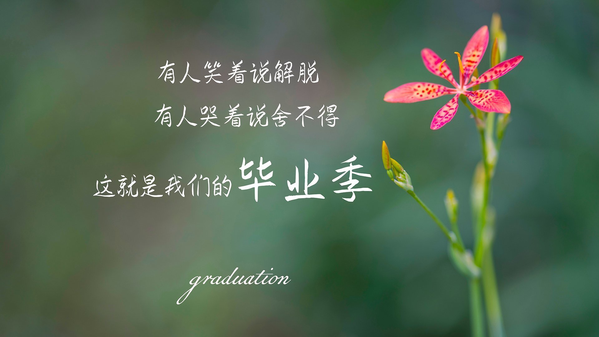 “德甲战役频繁，冠军归属悬念逐步升温”，德甲揭幕战历史战绩