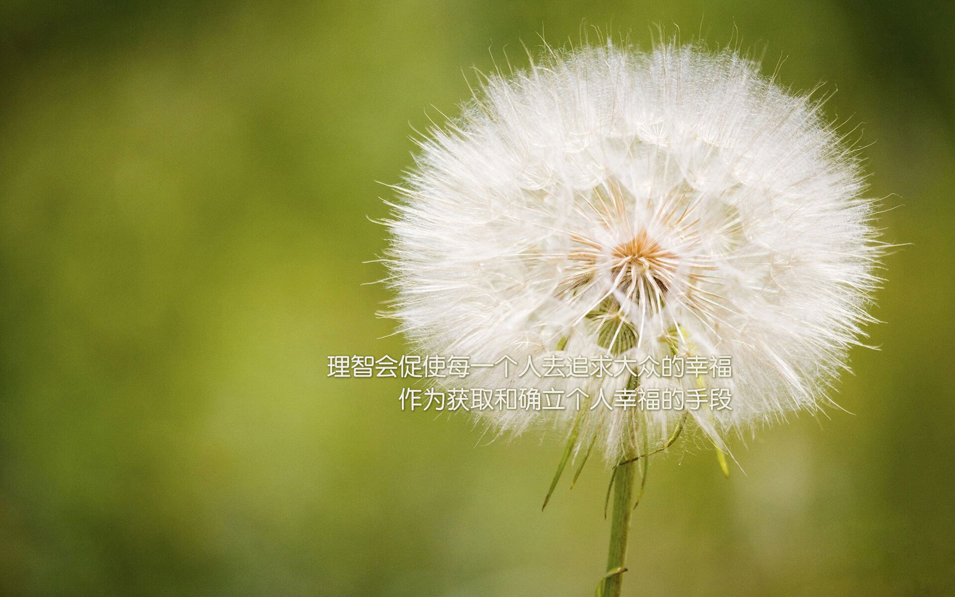 爱游戏体育（AYX）官方APP下载-库里：从无名到超巨，他如何改变了联盟的打法？，库里lol