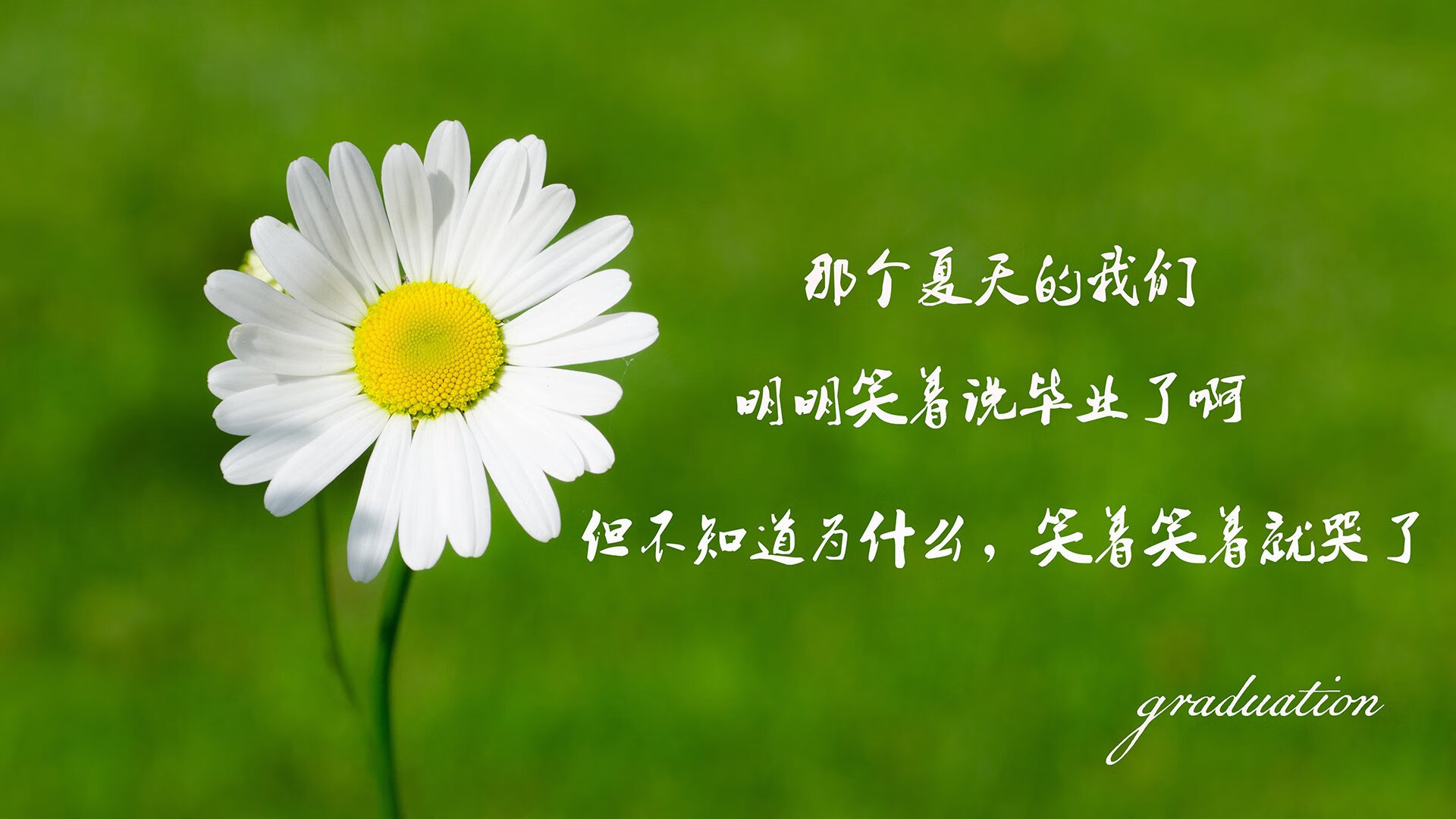 摩纳哥连续三场零封，表现值得期待，摩纳哥精选
