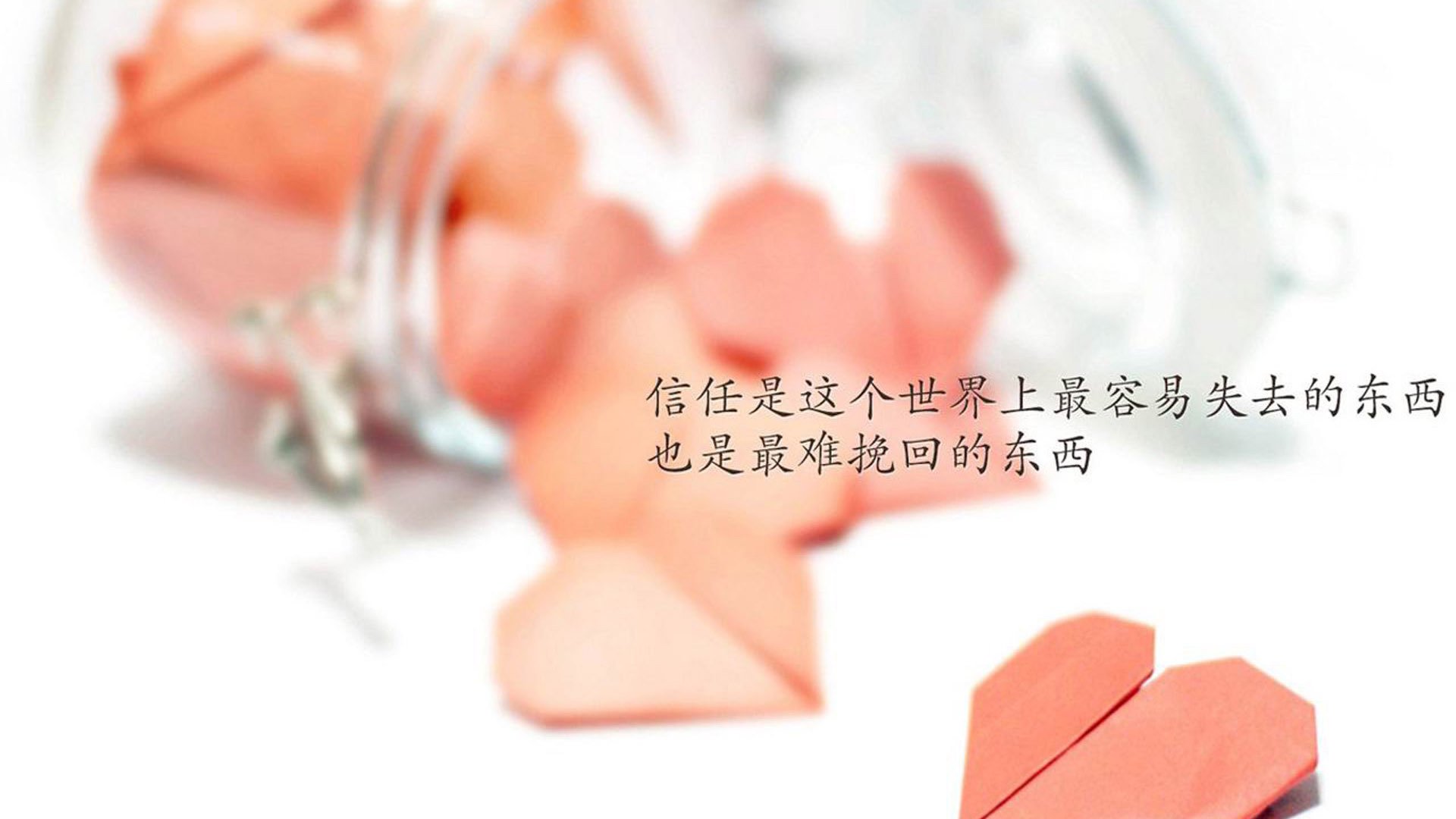 柔道比赛：巧妙技艺征服全场，柔道比赛现场
