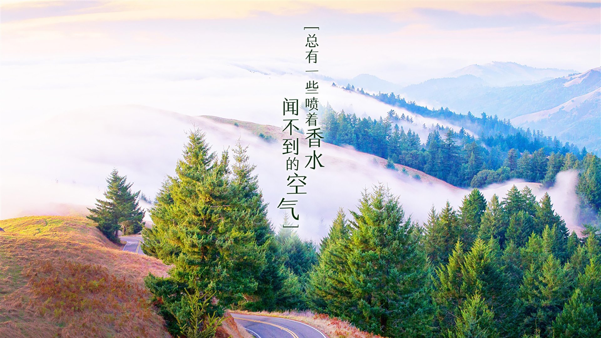 博卡青年连胜提升球队士气，博卡青年培养出的球星