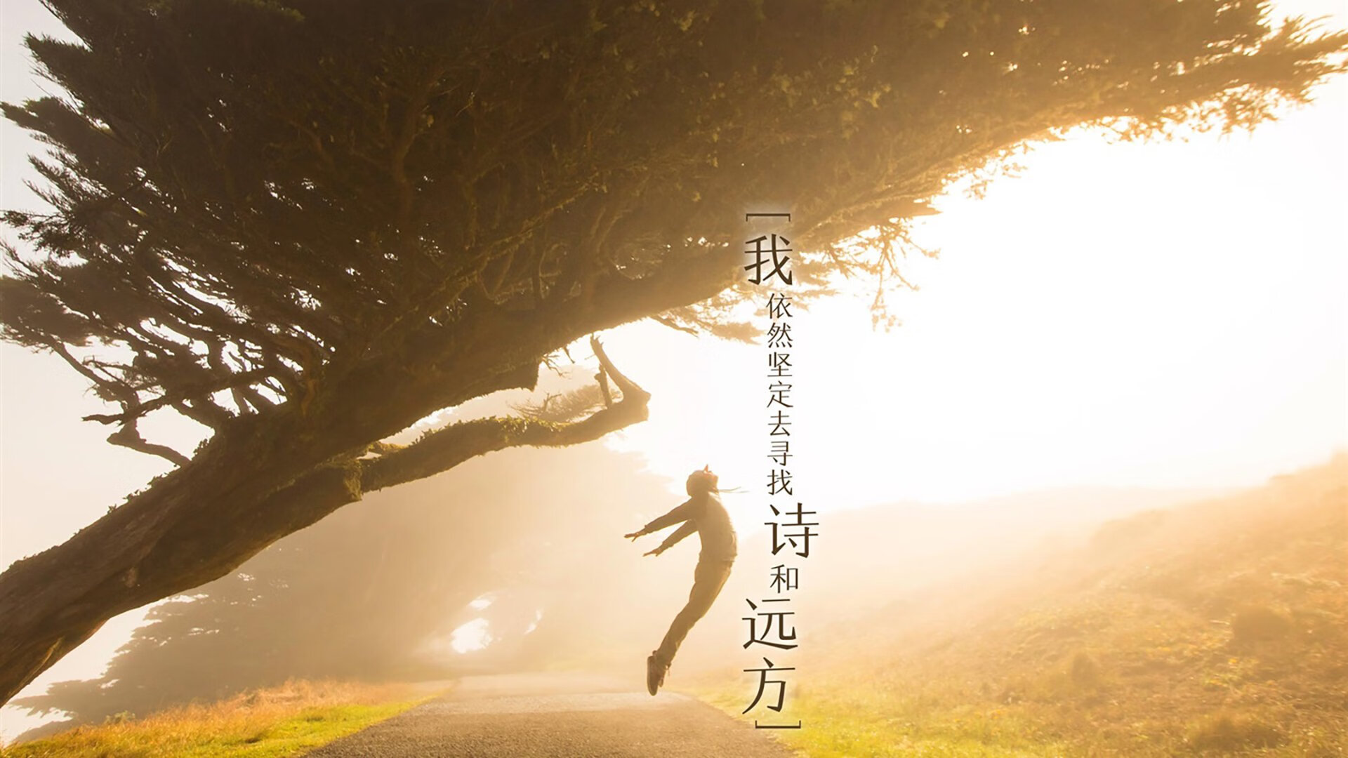 爱游戏官网-狼队客场告捷，继续保持不败纪录，狼队最新引援消息