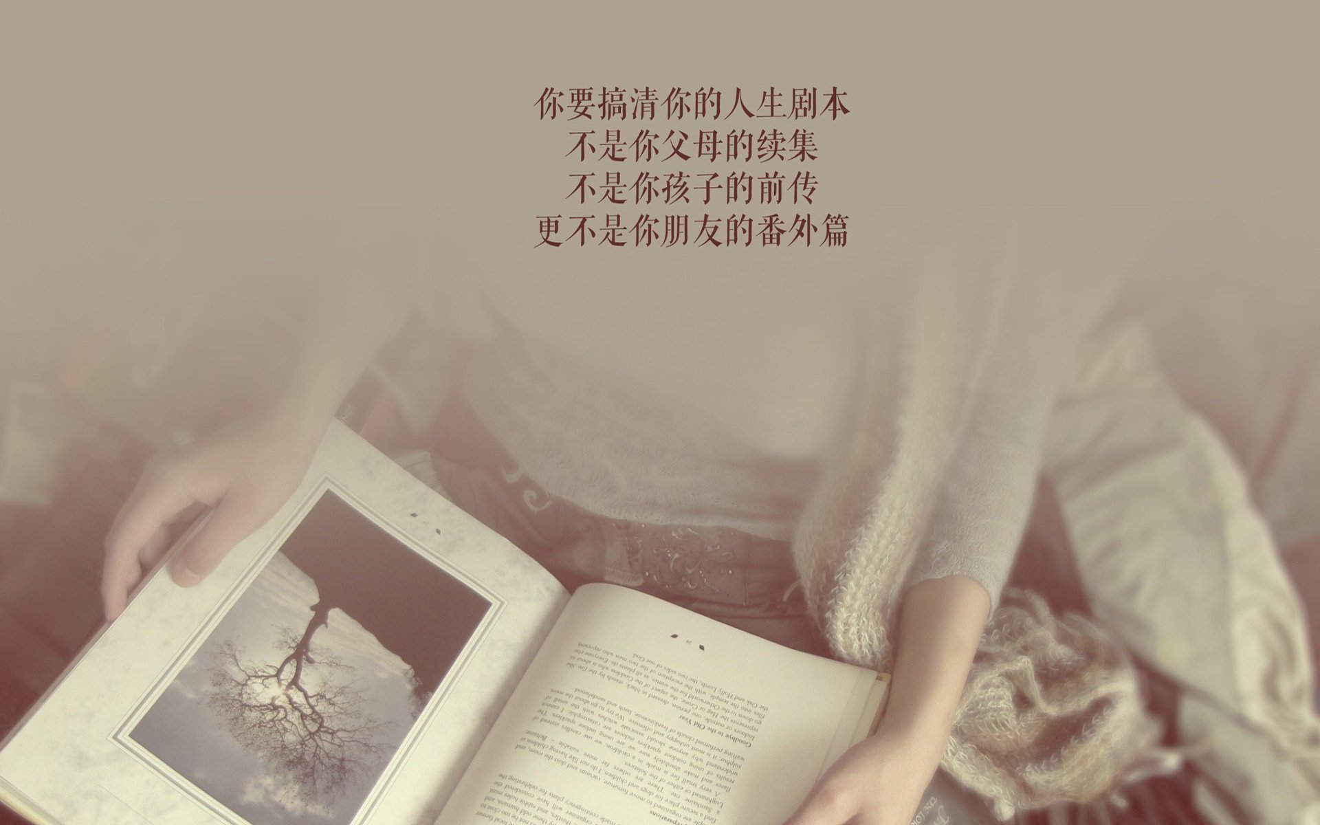 体育新闻编辑智能辅助系统设计与实现，体育新闻软件
