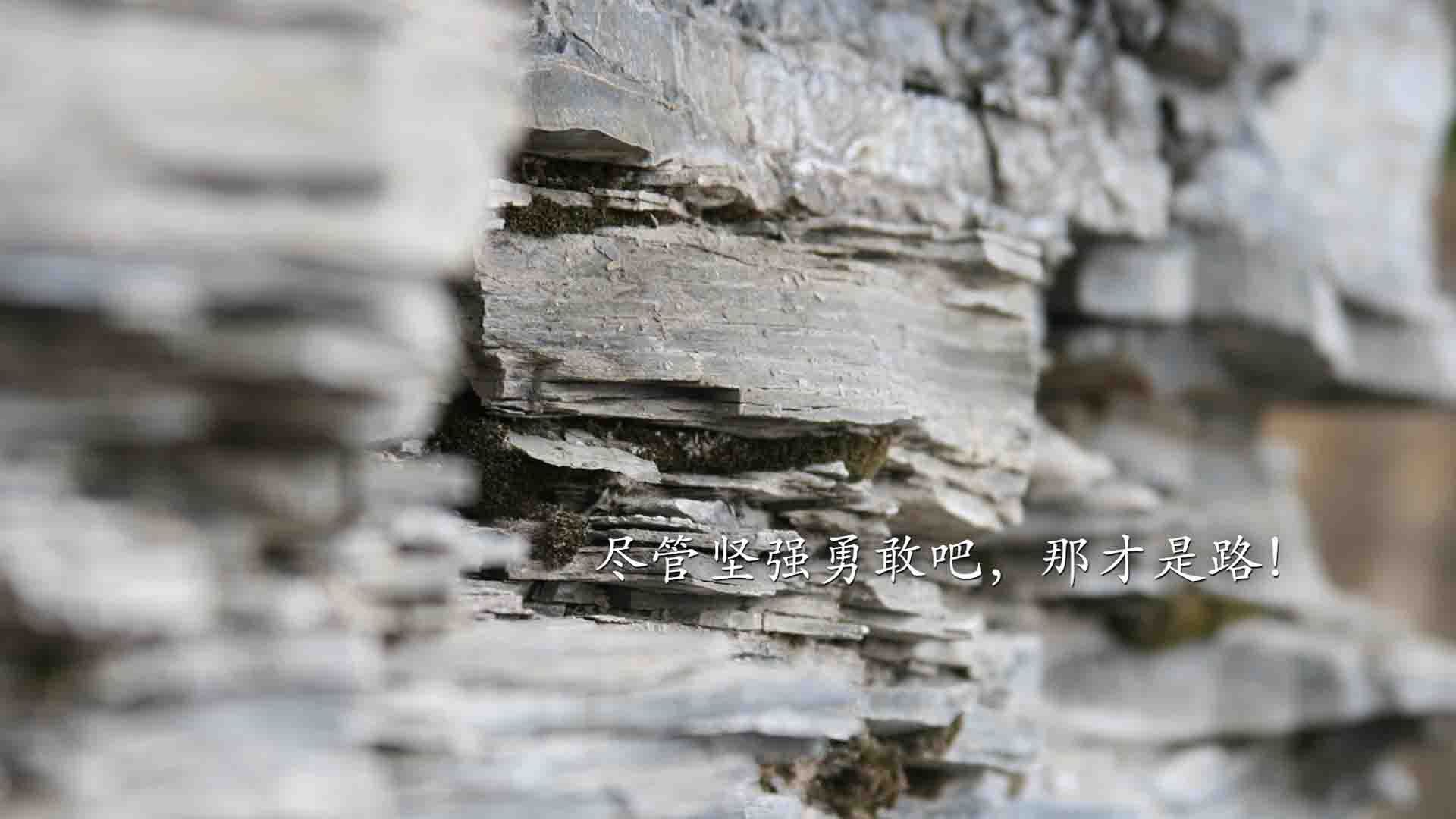 青少年体育活动中的社交媒体影响研究,社交媒体对青少年的影响论文