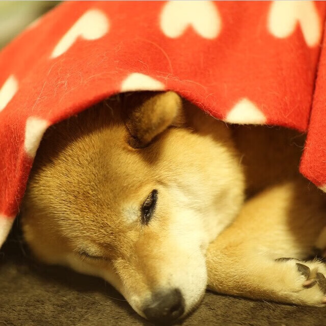 基层足球普及力度不足，足球普及率不高的原因