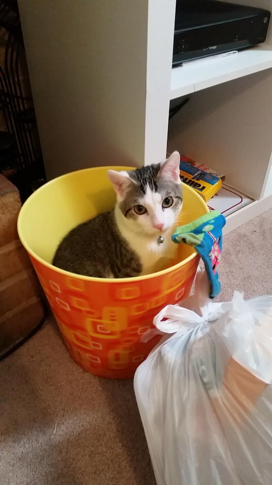 多特蒙德反击节奏打得风生水起,多特蒙德防守反击