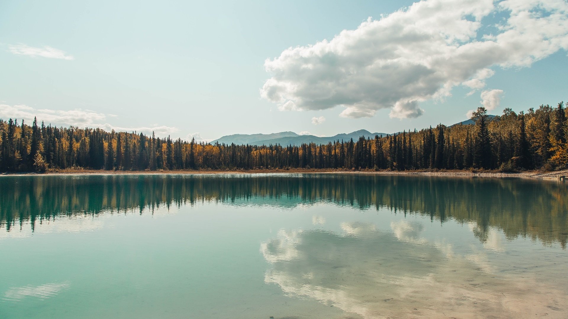 拜仁连续逼抢打乱对手出球节奏,拜仁进攻战术