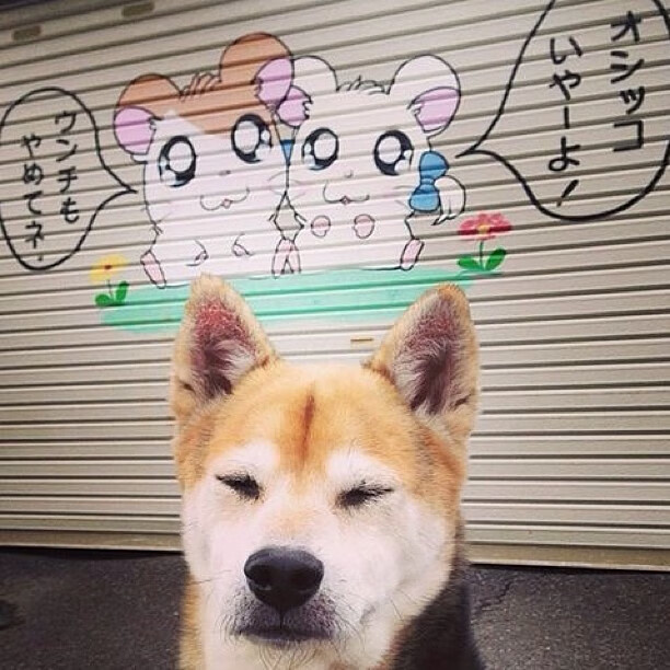 俄羅斯男篮在世界锦标赛中表现稳定,期待再创佳绩