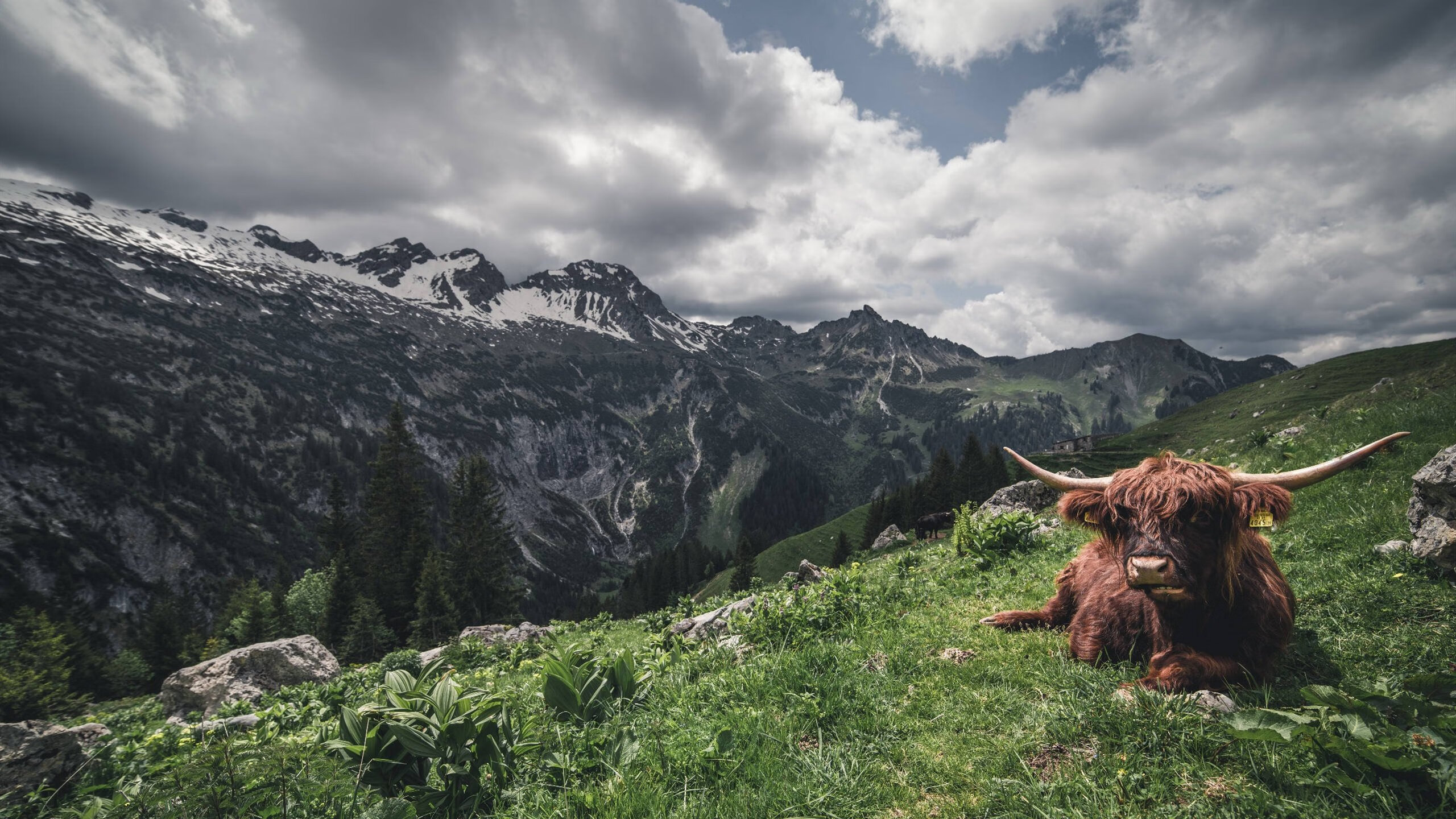 塞维利亚保持强势,冲击欧洲赛场资格