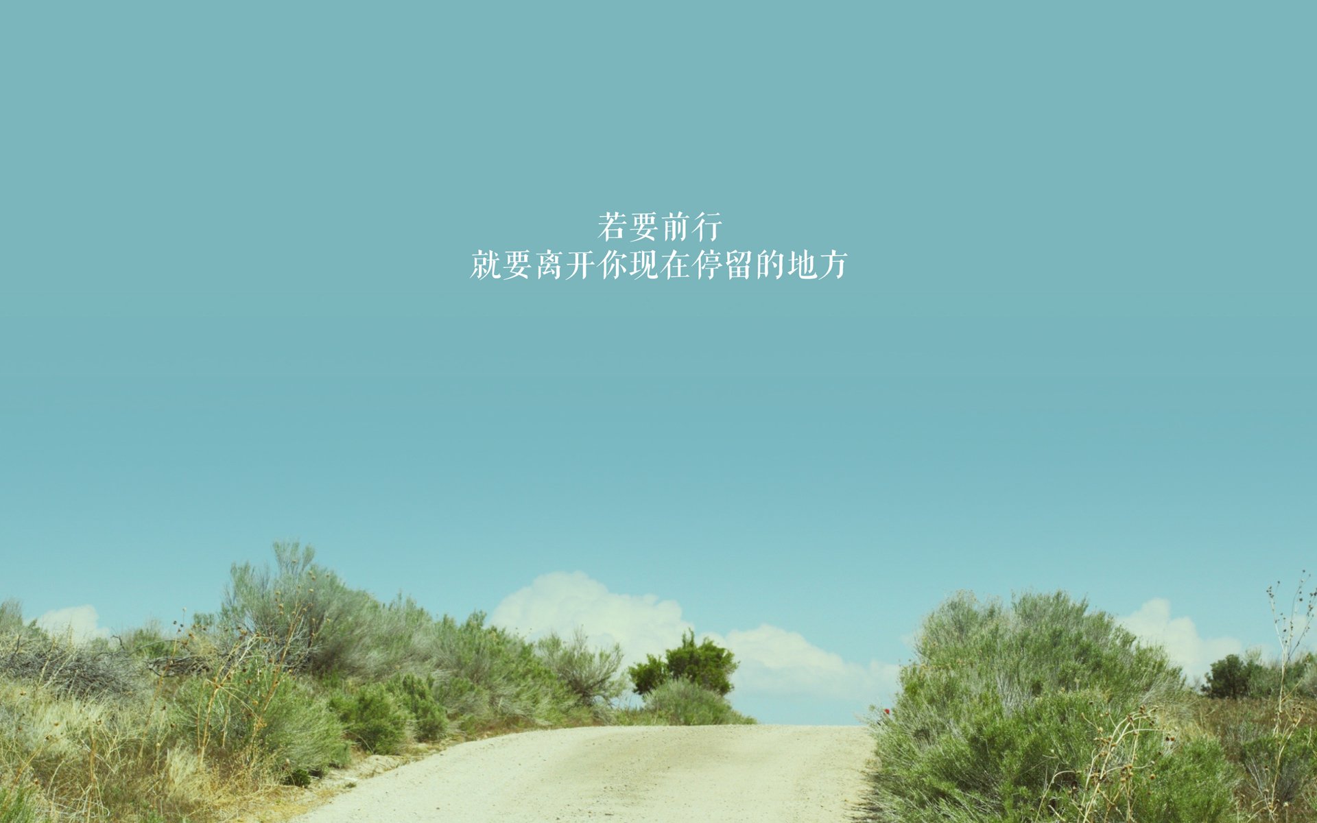 美洲杯的比赛战术分析报告，美洲杯总结